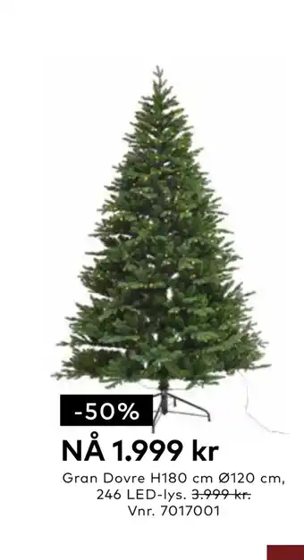 Skeidar Gran dovre tilbud