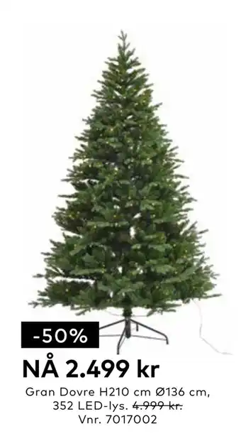 Skeidar Gran dovre tilbud