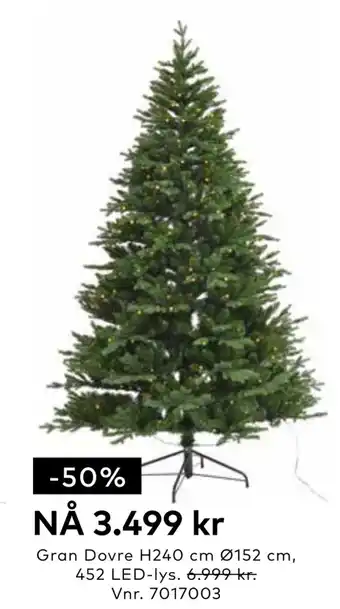 Skeidar Gran dovre tilbud