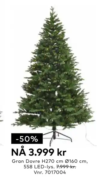 Skeidar Gran dovre tilbud