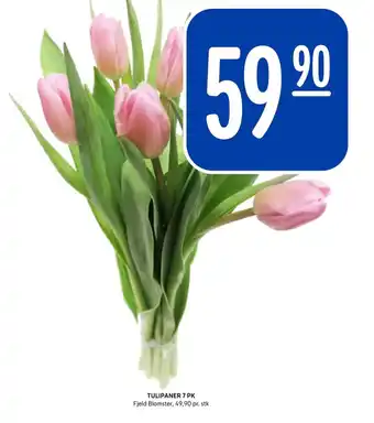 Rema 1000 TULIPANER 7PK tilbud