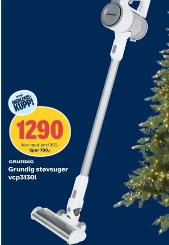 Grundig støvsuger vcp3130l