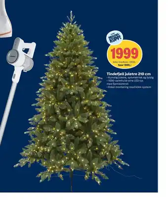 Coop Obs Tindefjell juletre 210 cm tilbud