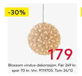 Skeidar Blossom vindus-dekorasjon tilbud