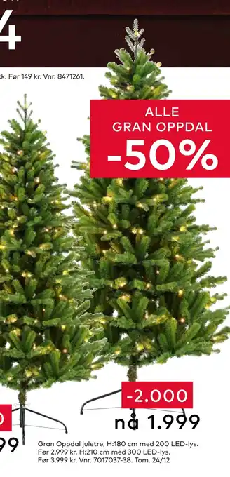 Skeidar Gran oppdal juletre tilbud