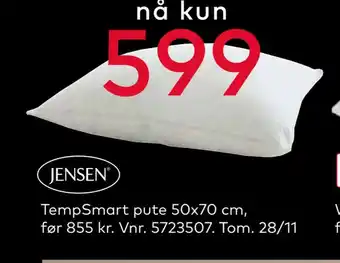 Skeidar Tempsmart pute 50x70 cm tilbud