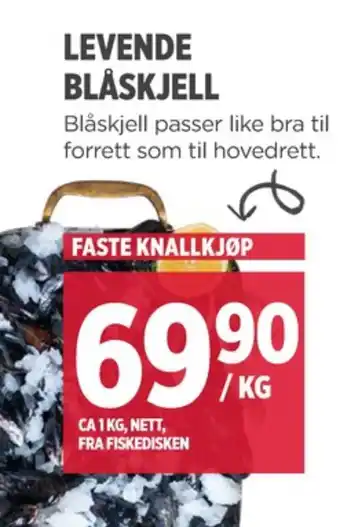 Meny Ukjent blåskjell tilbud