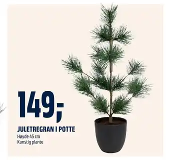 Coop Obs Juletregran i potte tilbud