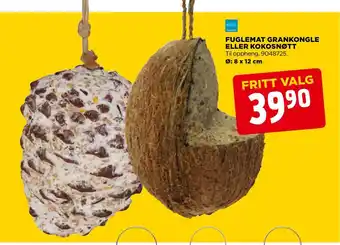 jem & fix Fuglemat grankongle eller kokosnøtt tilbud