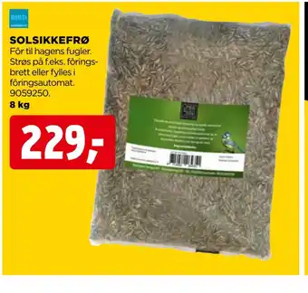 jem & fix Solsikkefrø tilbud