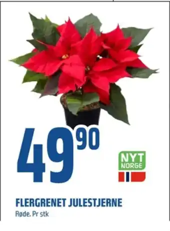 Coop Obs Ukjent plante tilbud