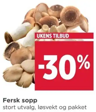 Meny Fersk sopp tilbud