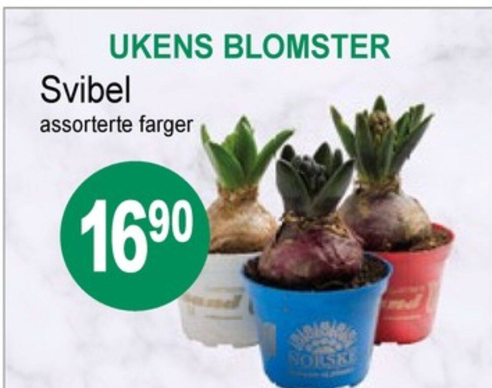Joker Ukjent plante tilbud