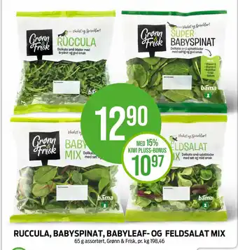 Kiwi Ruccula, babyspinat, babyleaf- og feldsalat mix tilbud