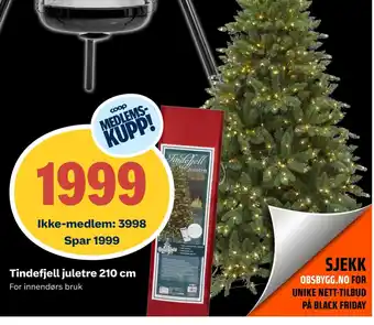 Coop Obs Tindefjell juletre 210 cm tilbud