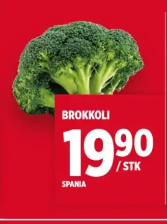 Meny BROKKOLI tilbud