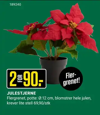 Europris Julestjerne tilbud