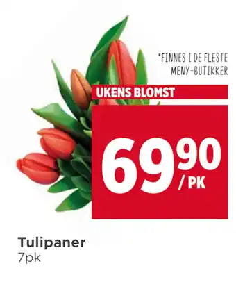 Meny Tulipaner tilbud