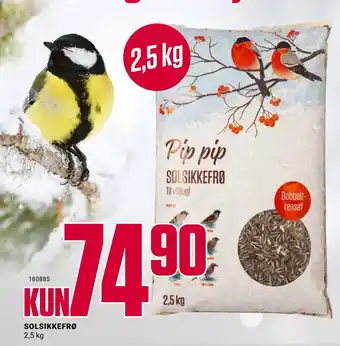 Europris Solsikkefrø tilbud