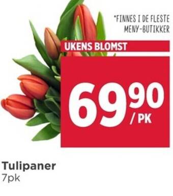 Meny Tulipaner 7pk tilbud