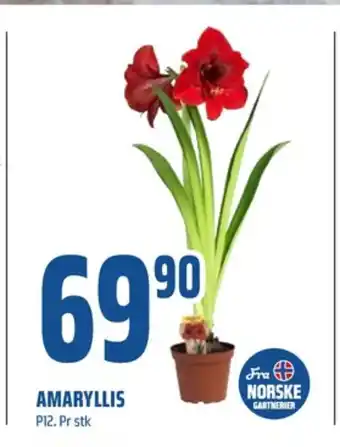 Coop Obs Ukjent plante tilbud