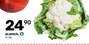 Matkroken BLOMKÅL tilbud