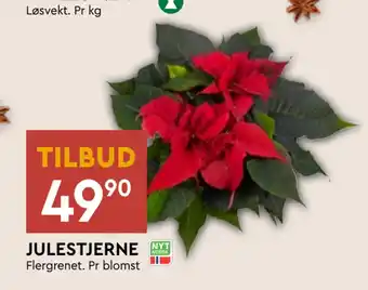 Coop Mega Julestjerne tilbud