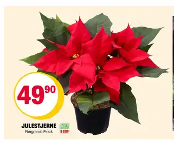 Coop Extra Julestjerne tilbud