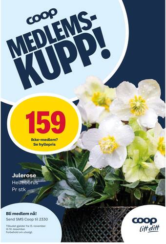 Coop Marked Julerose tilbud