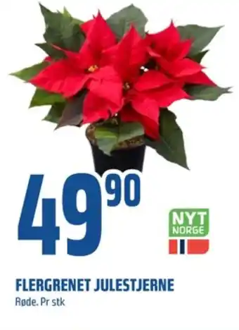 Coop Obs Ukjent plante tilbud