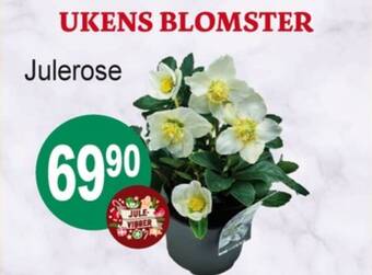 Joker Ukjent plante tilbud