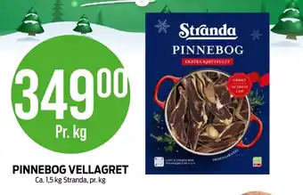 Kiwi Stranda pinnebog tilbud