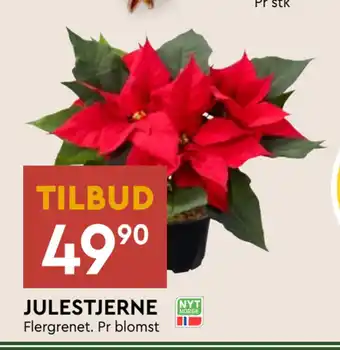 Coop Mega Julestjerne tilbud