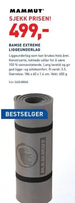 Intersport BAMSE EXTREME LIGGEUNDERLAG tilbud