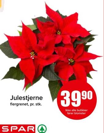 Spar Julestjerne tilbud