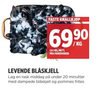 Meny LEVENDE BLÅSKJELL tilbud