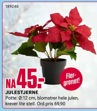Europris Julestjerne tilbud