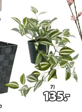 JYSK Asgar kunstig plante tilbud