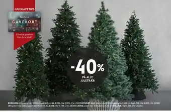 Bohus 40% på alle juletrær tilbud