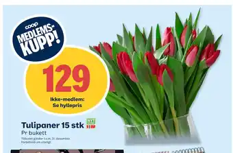 Coop Prix Tulipaner 15 stk tilbud
