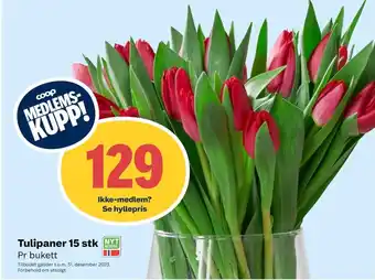 Coop Marked Ukjent bukett tilbud