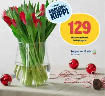 Coop Extra Ukjent bukett tilbud