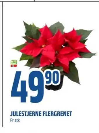 Coop Obs Ukjent plante tilbud