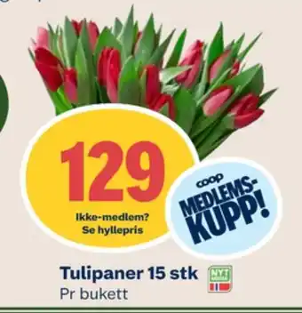 Coop Mega Ukjent bukett tilbud