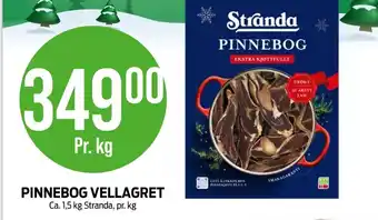 Kiwi Stranda pinnebog tilbud