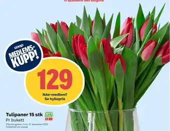 Matkroken Tulipaner 15 stk tilbud