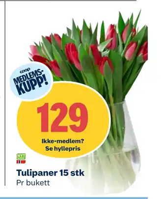Coop Obs Tulipaner 15 stk tilbud