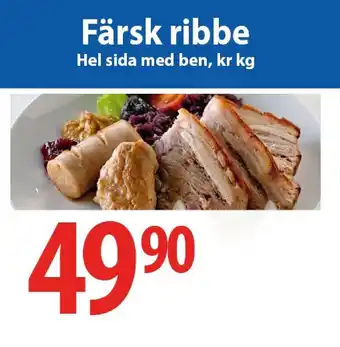 Färsk ribbe Hel sida med ben, kr kg