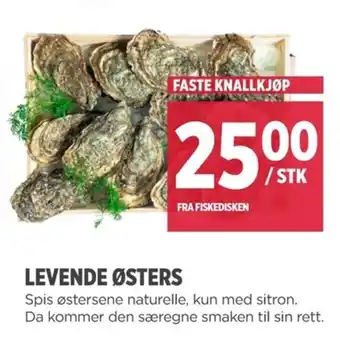Meny LEVENDE ØSTERS tilbud