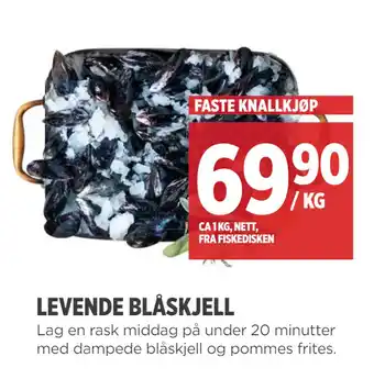 Meny Levende blåskjell tilbud